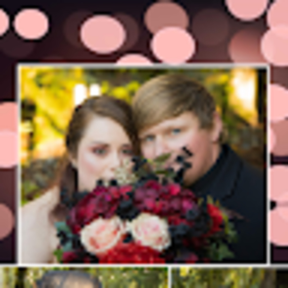 Meet your Posher, Kat